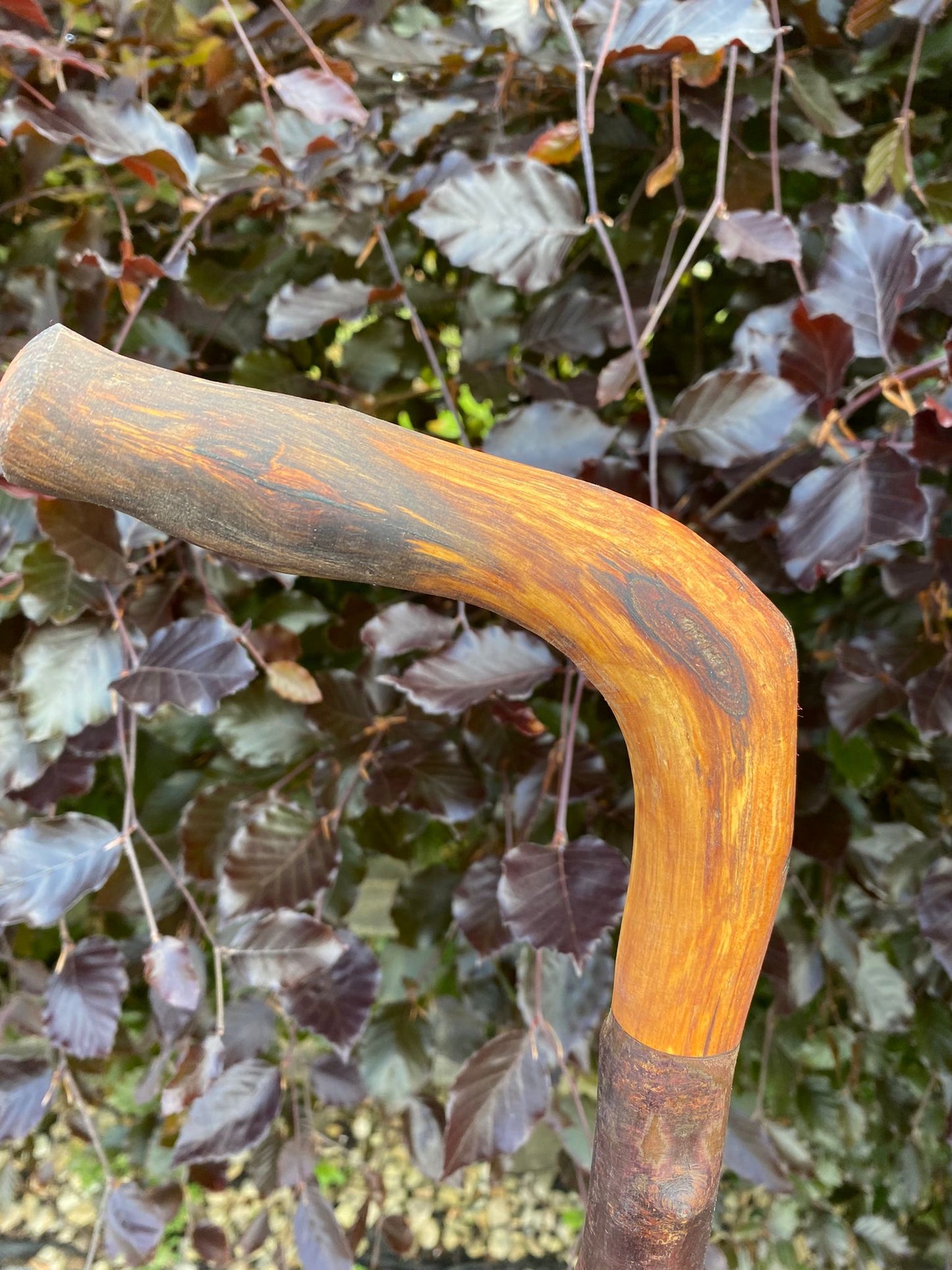 Blackthorn and Hawthorn Irish Walking Stick