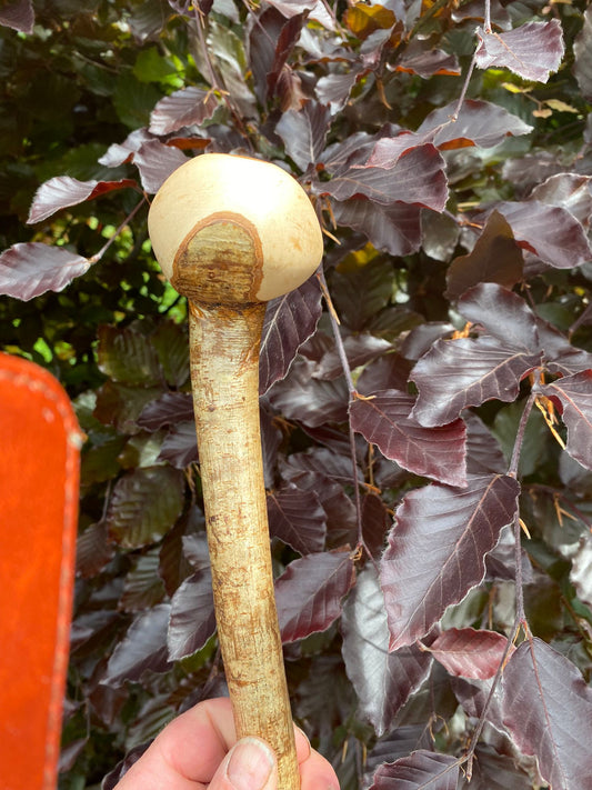 Hazel Irish Walking Stick