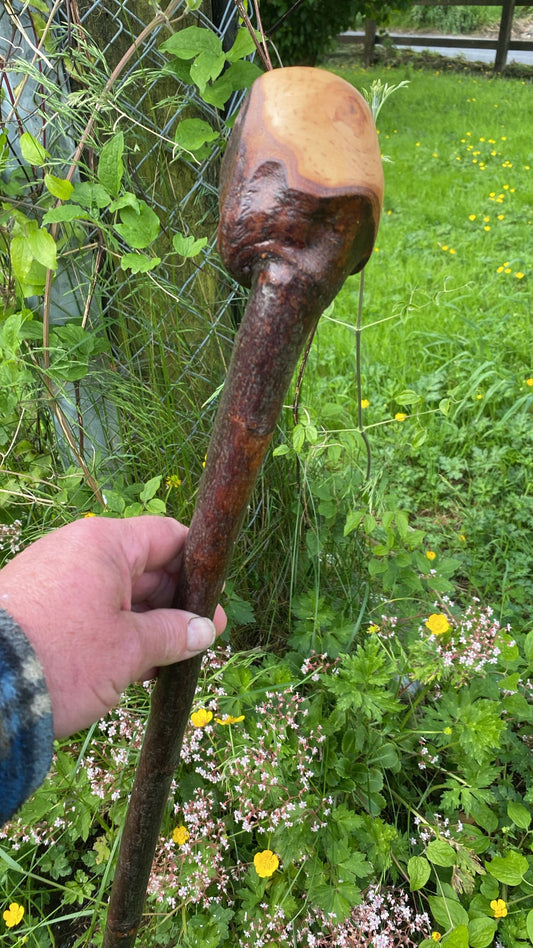 Premium Black Birch Wood Walking Stick