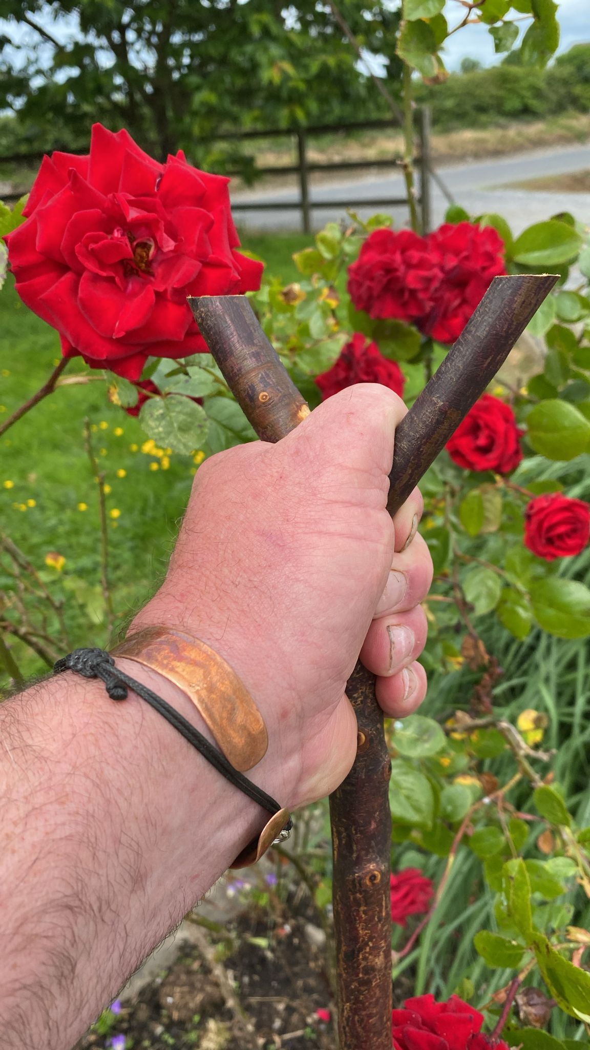 Blackthorn Hiking Stick Thumb Handle