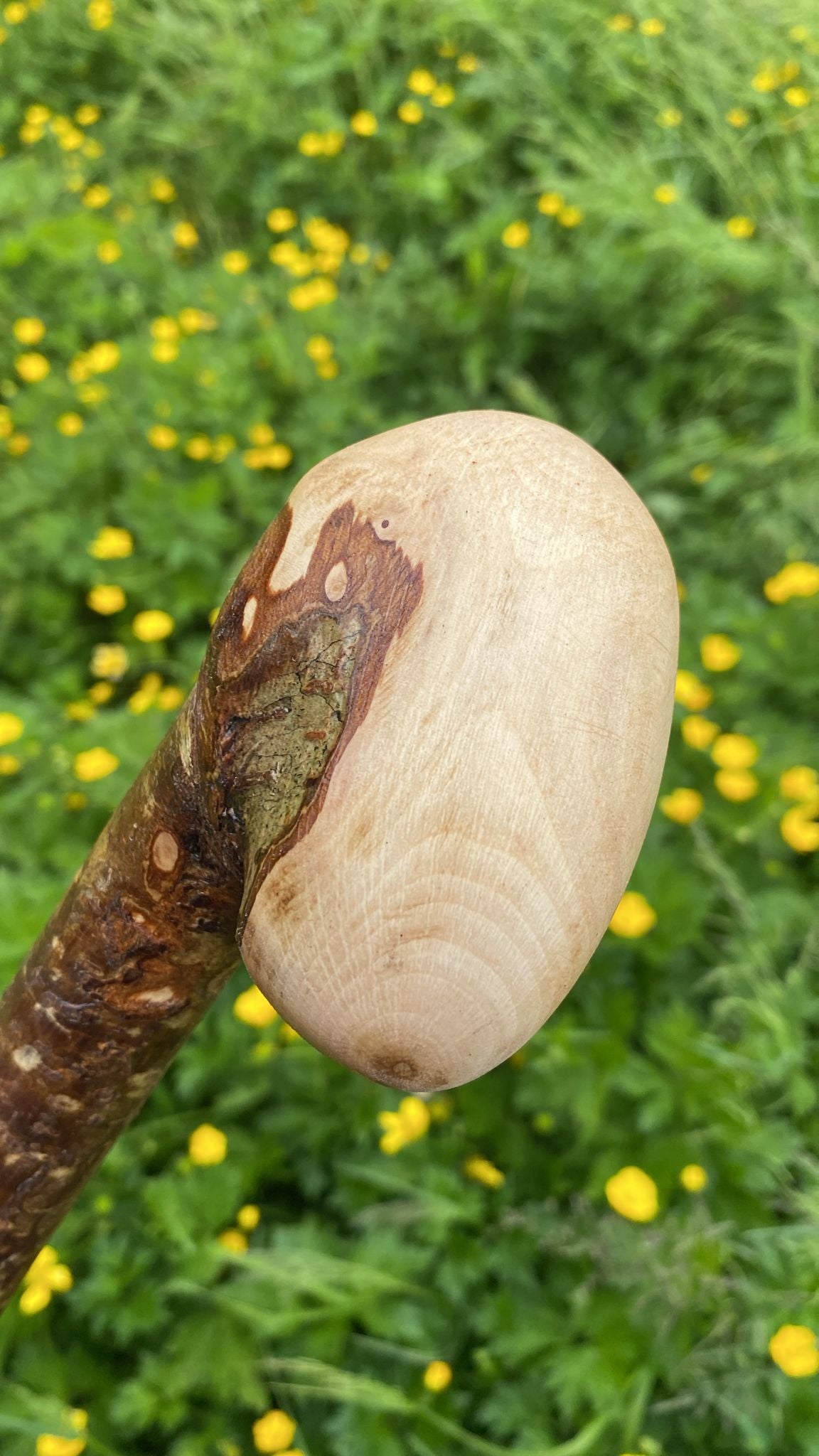 Hazel Wood Hiking and Walking Stick