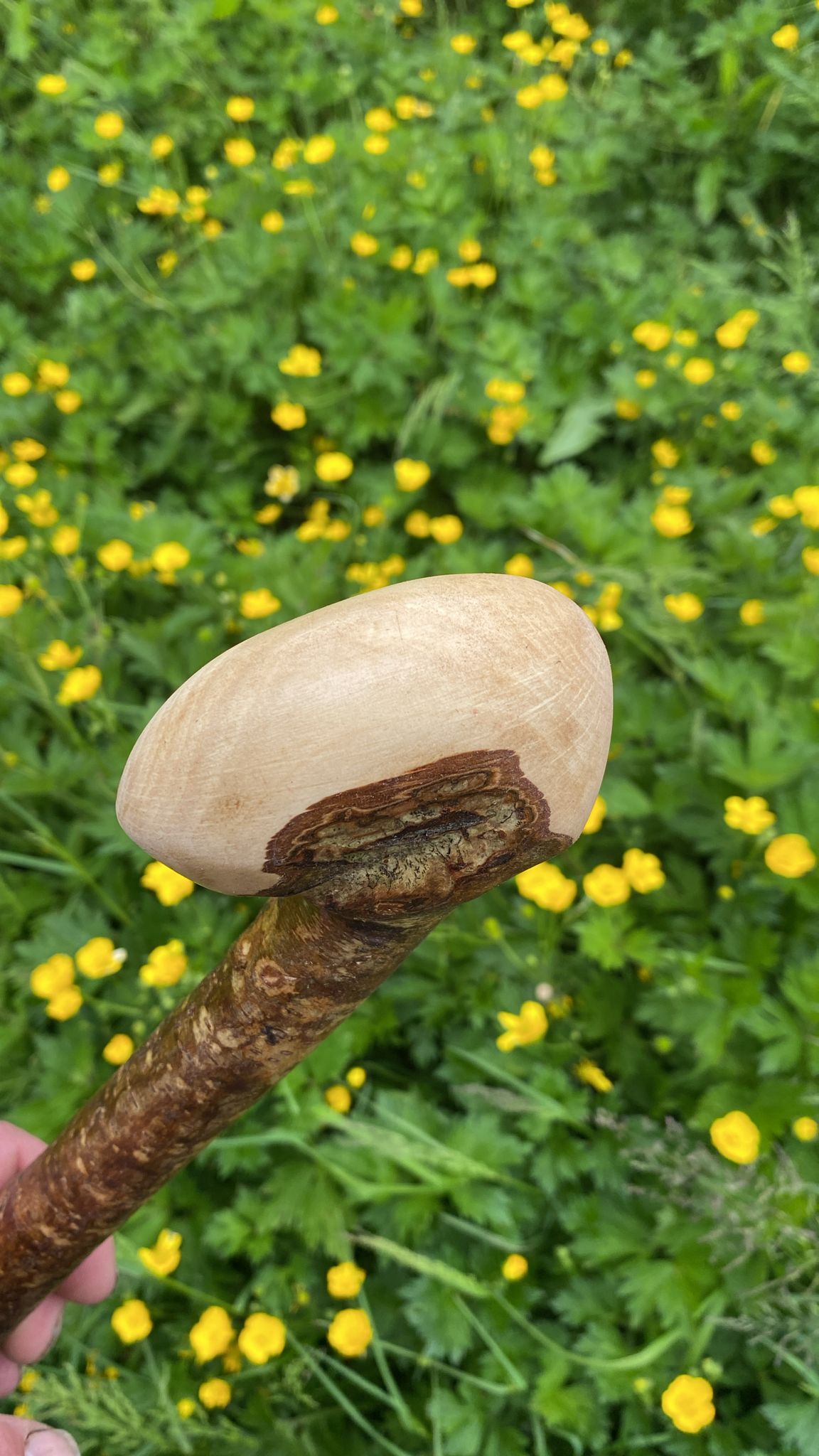 Hazel Wood Hiking and Walking Stick