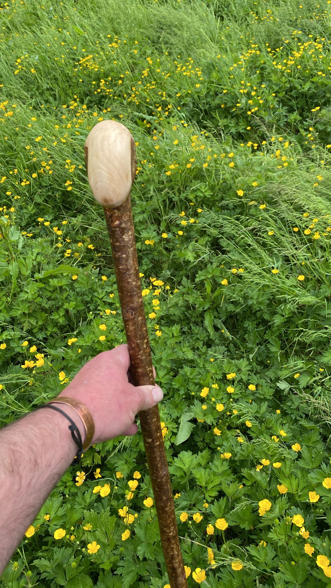 Hazel Wood Hiking and Walking Stick