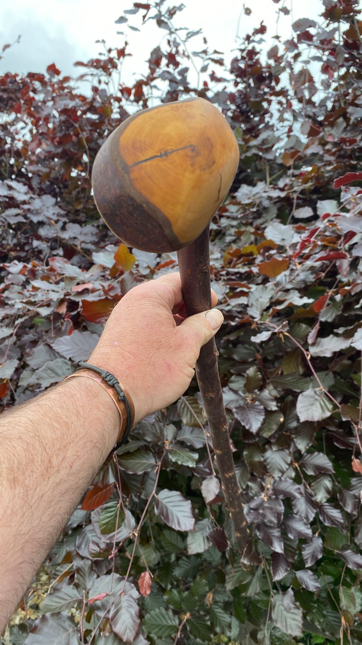 Blackthorn Walking Stick