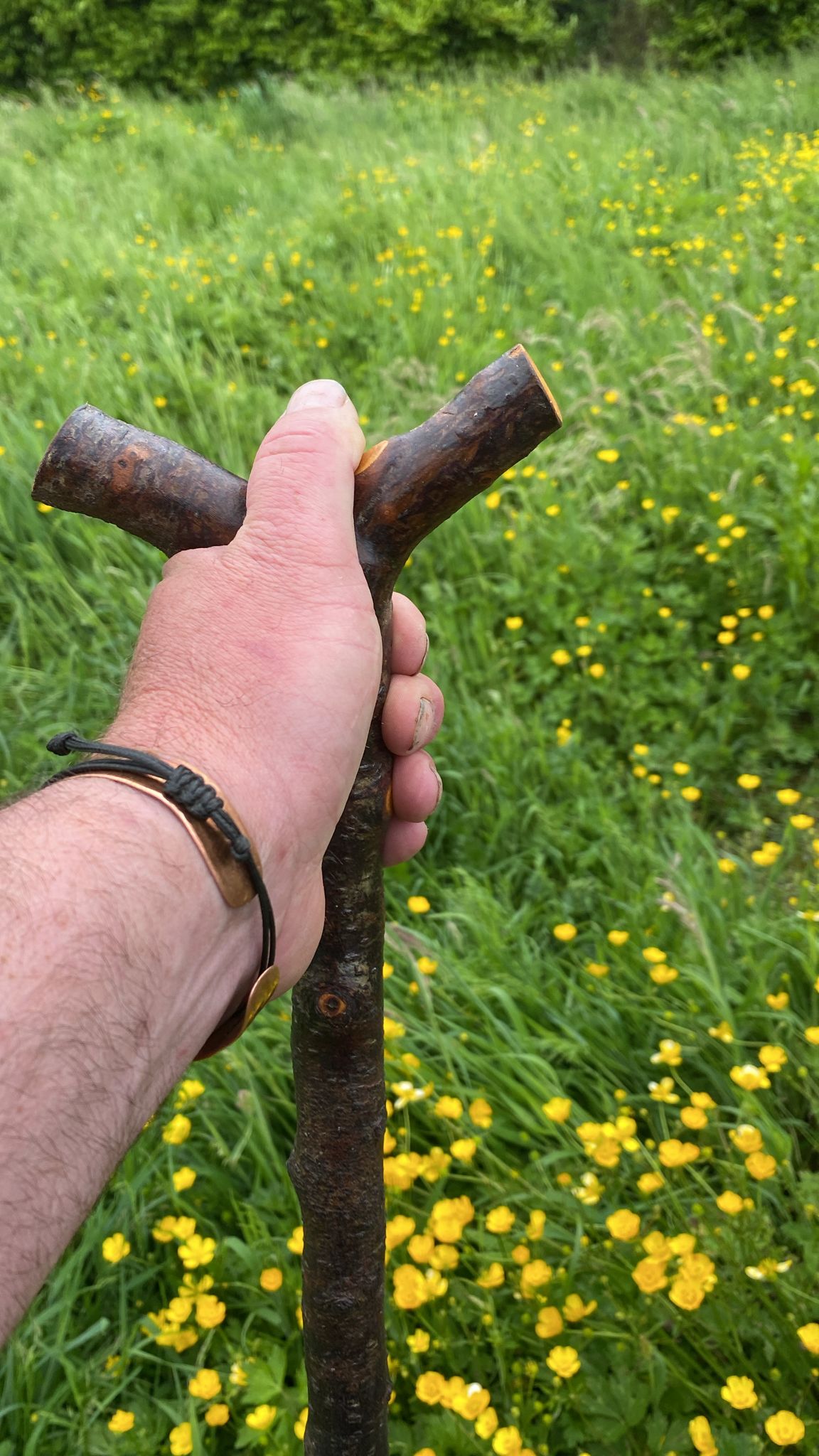 Blackthorn Hiking Stick