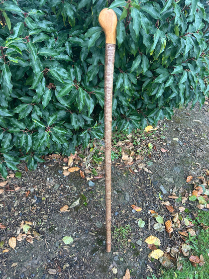 Hazel Walking Stick with Round Handle – 100 cm / 39.4 inches