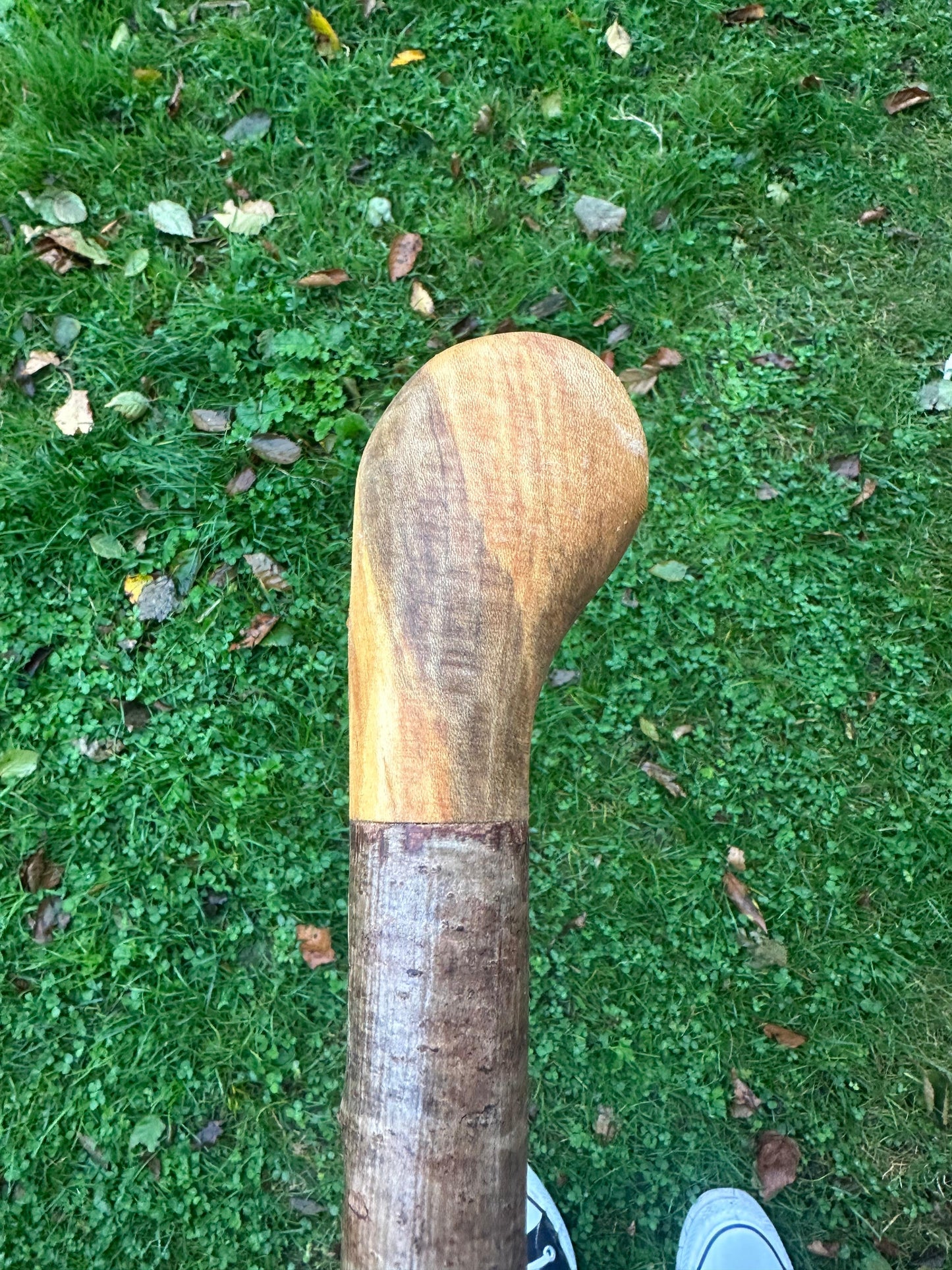 Hazel Walking Stick with Round Handle – 100 cm / 39.4 inches