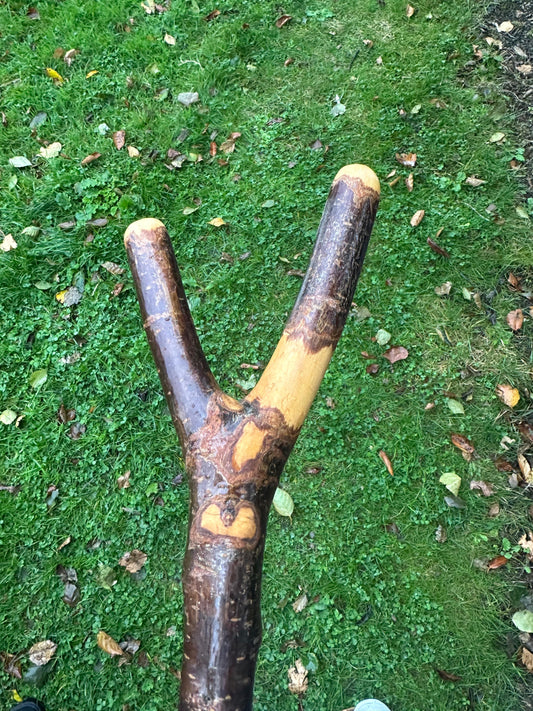 Blackthorn Thumb Hiking Stick – 141 cm / 55.5 inches