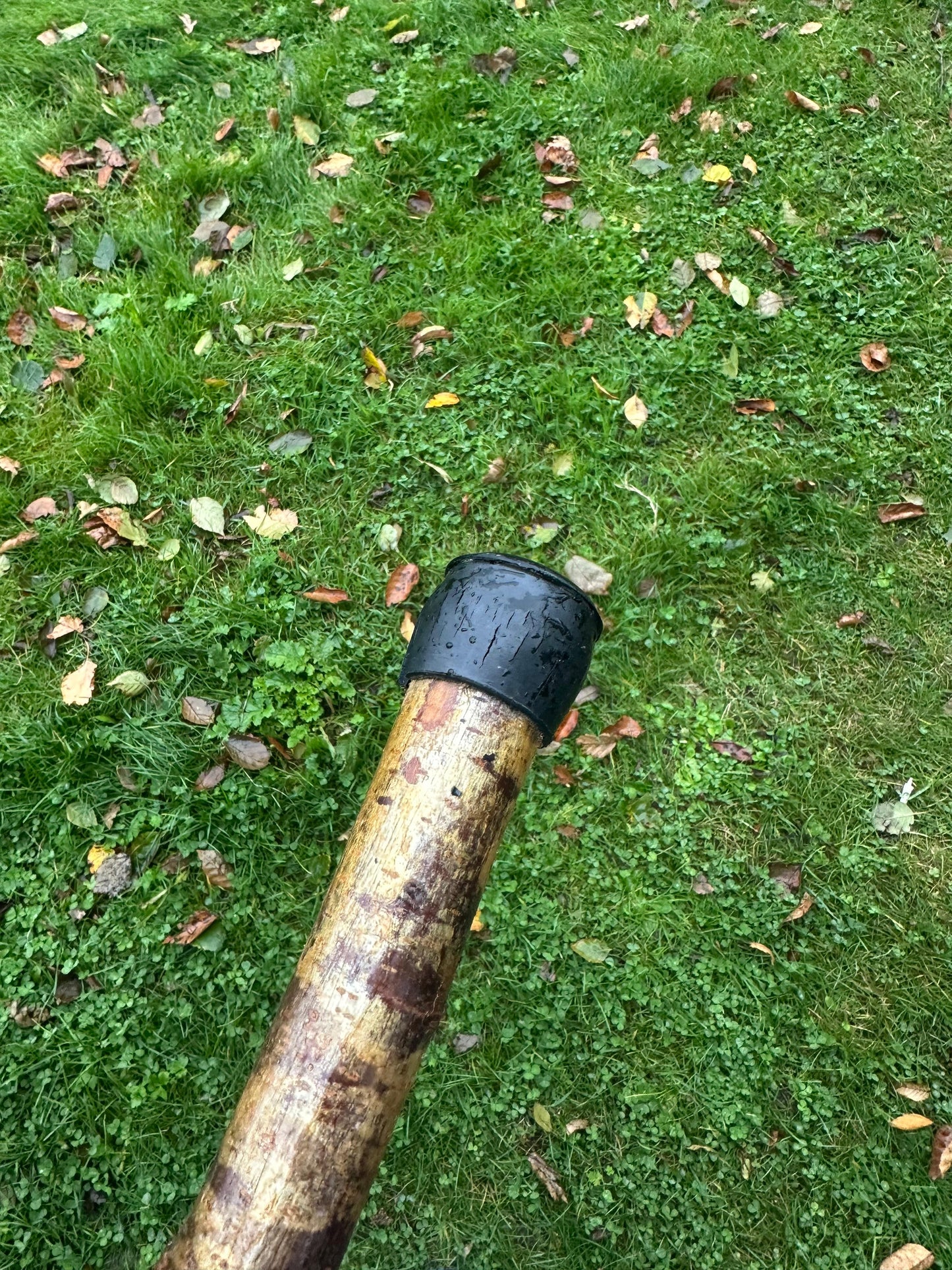 Blackthorn Thumb Hiking Stick – 141 cm / 55.5 inches