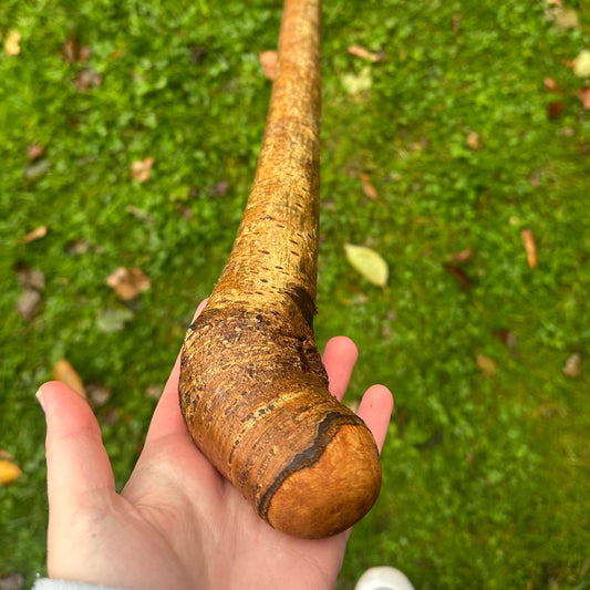 Hazel Walking Stick with Small Head – 113 cm  / 44.5 inches