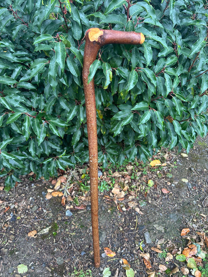 Sold to Abel Blackthorn Walking Stick with L Handle & Door Knocker – 102 cm / 40.2 inches
