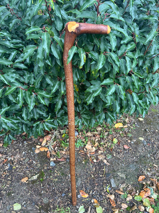 Sold to Abel Blackthorn Walking Stick with L Handle & Door Knocker – 102 cm / 40.2 inches