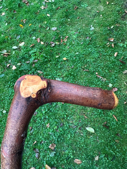 Sold to Abel Blackthorn Walking Stick with L Handle & Door Knocker – 102 cm / 40.2 inches