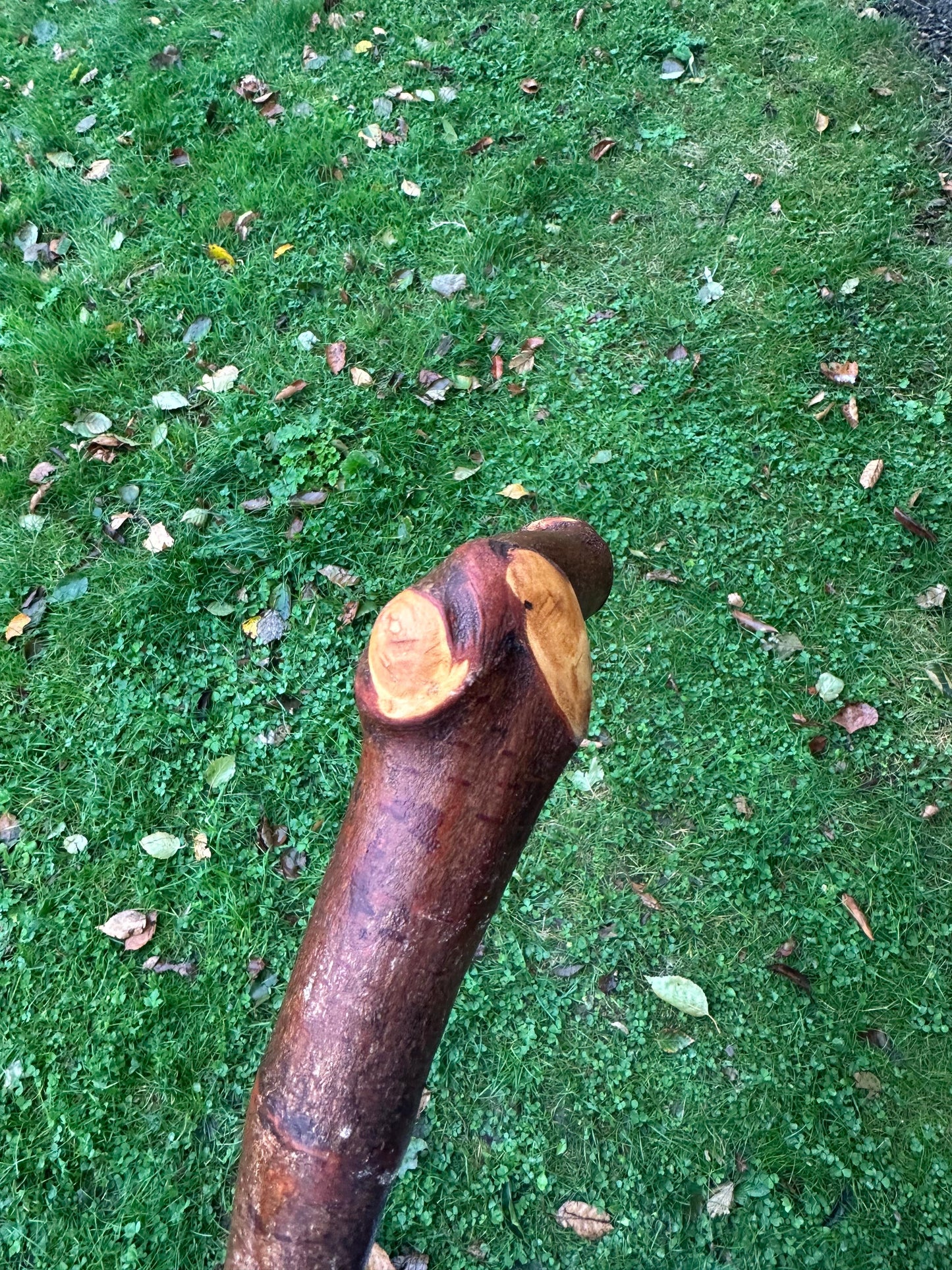 Sold to Abel Blackthorn Walking Stick with L Handle & Door Knocker – 102 cm / 40.2 inches