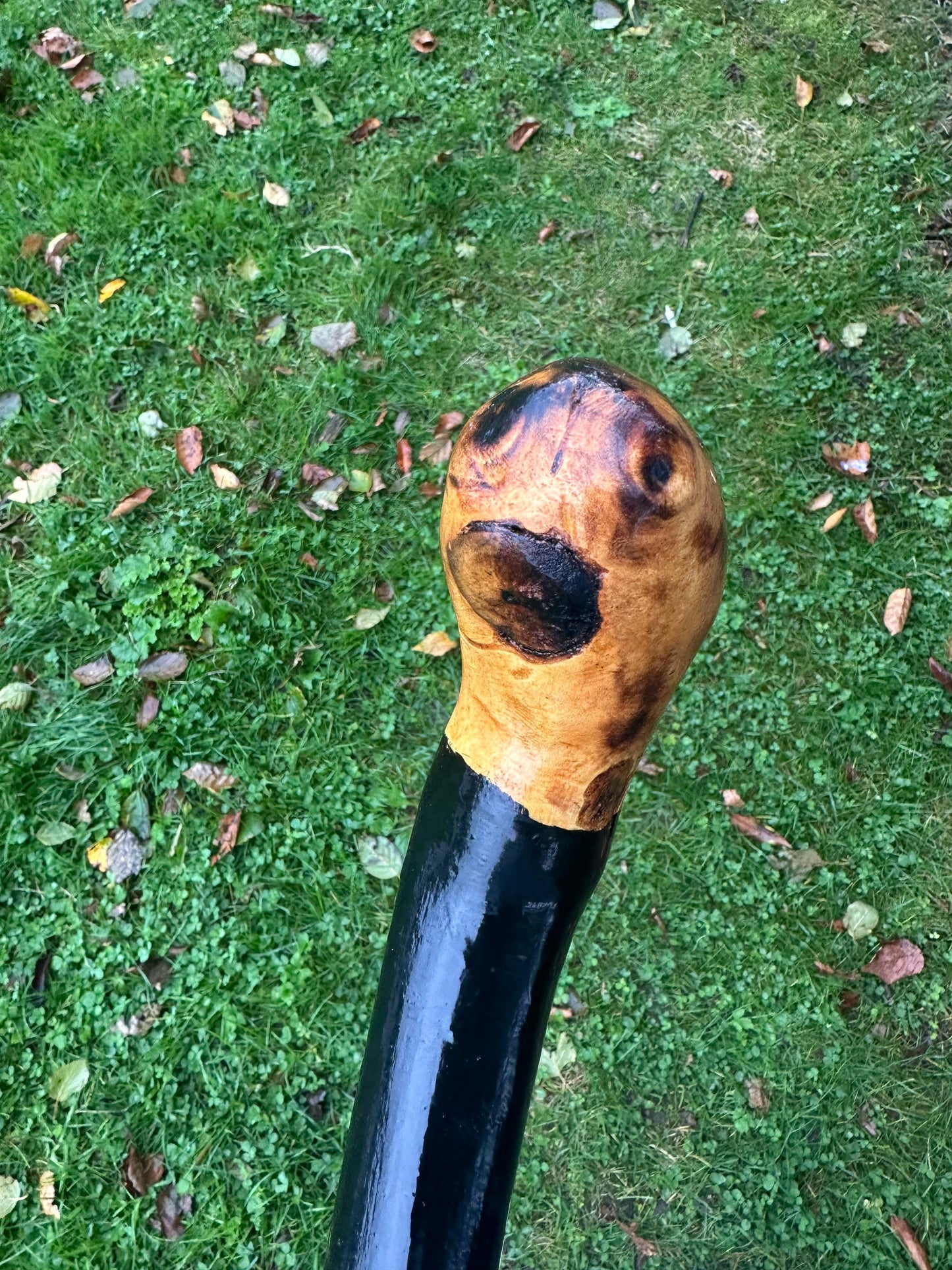 Black-Painted Whitethorn Walking Stick with Round Head – 99 cm / 39 inches