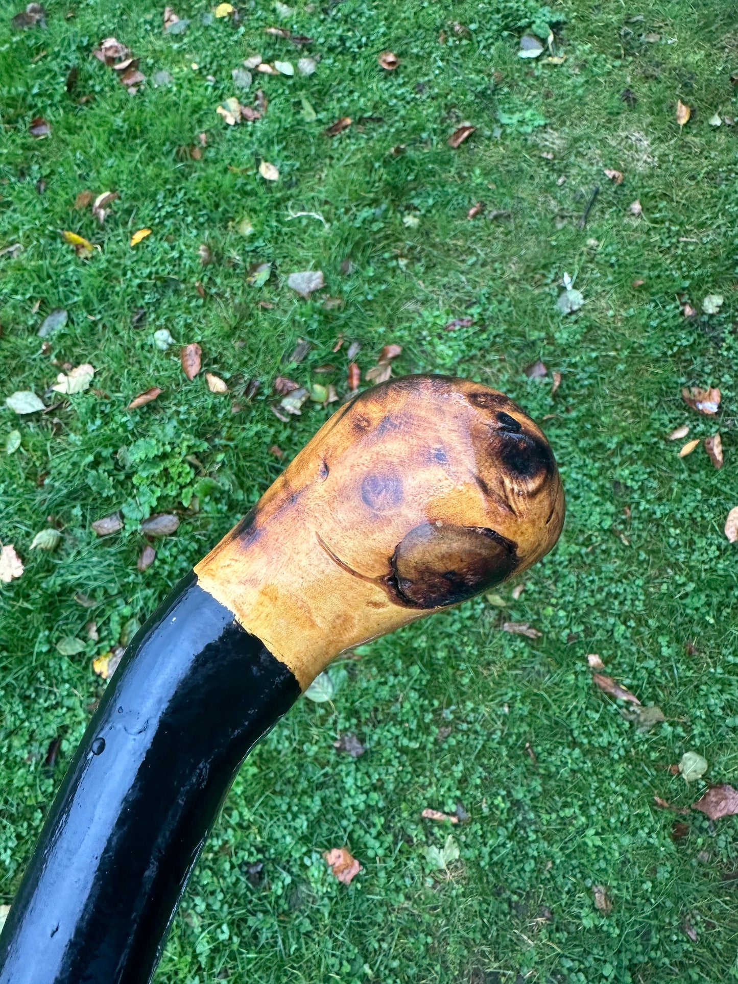 Black-Painted Whitethorn Walking Stick with Round Head – 99 cm / 39 inches