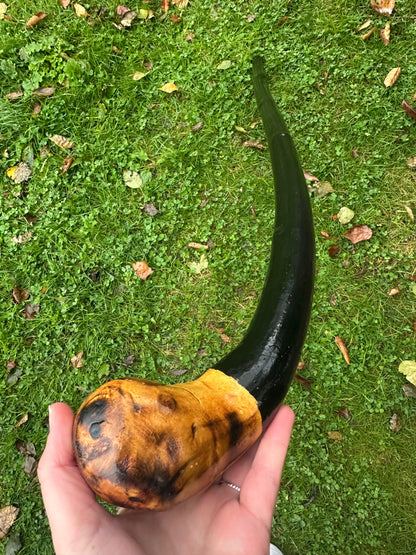 Black-Painted Whitethorn Walking Stick with Round Head – 99 cm / 39 inches