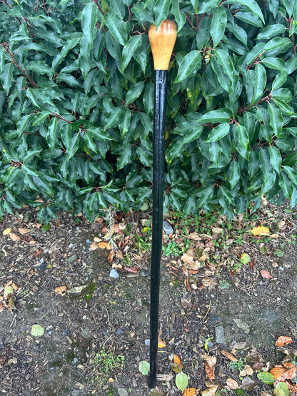 Black Hazel Walking Stick with Bulb Head – 99 cm  / 39 inches