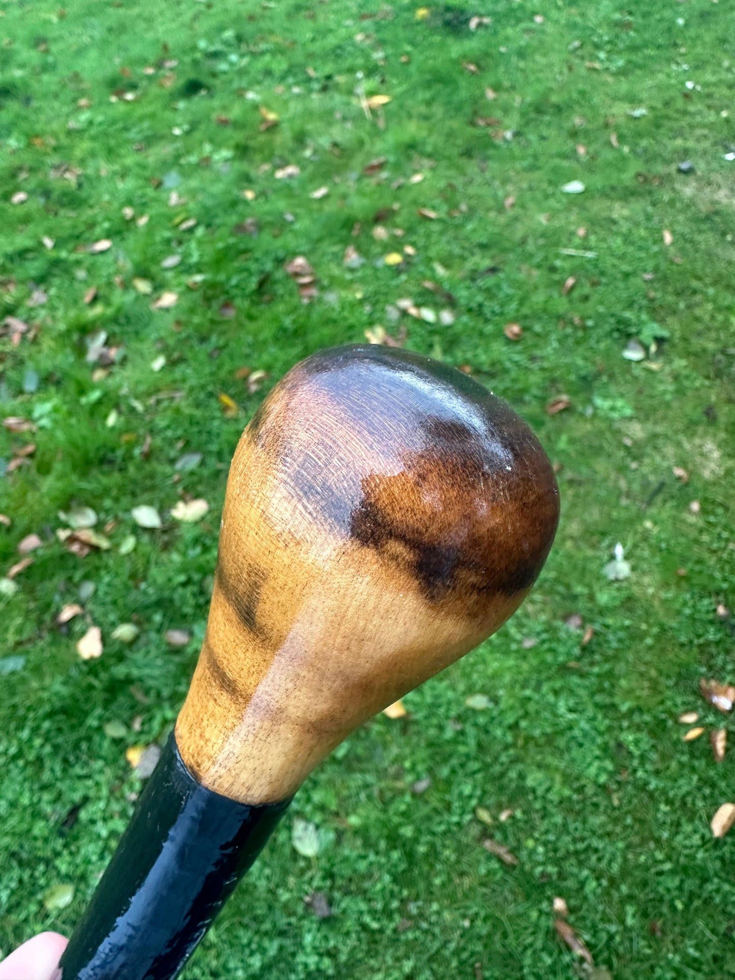 Black Hazel Walking Stick with Bulb Head – 99 cm  / 39 inches