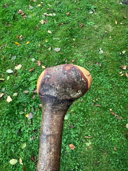 Blackstone Walking Stick with Round Handle – 97 cm / 38.2 inches