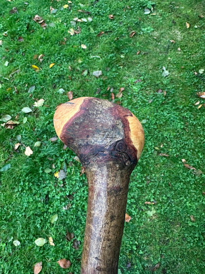 Blackstone Walking Stick with Round Handle – 97 cm / 38.2 inches