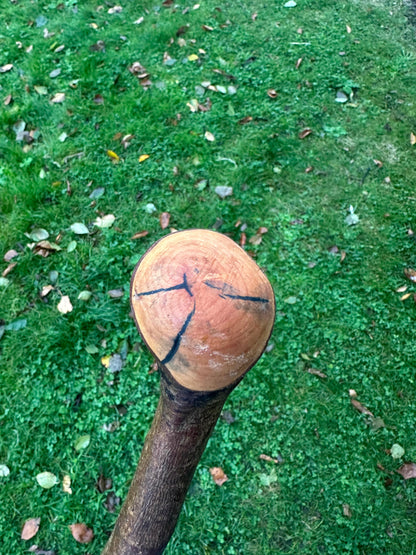 Blackstone Walking Stick with Round Handle – 97 cm / 38.2 inches