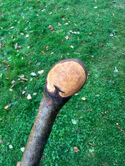 Blackstone Walking Stick with Round Handle – 97 cm / 38.2 inches