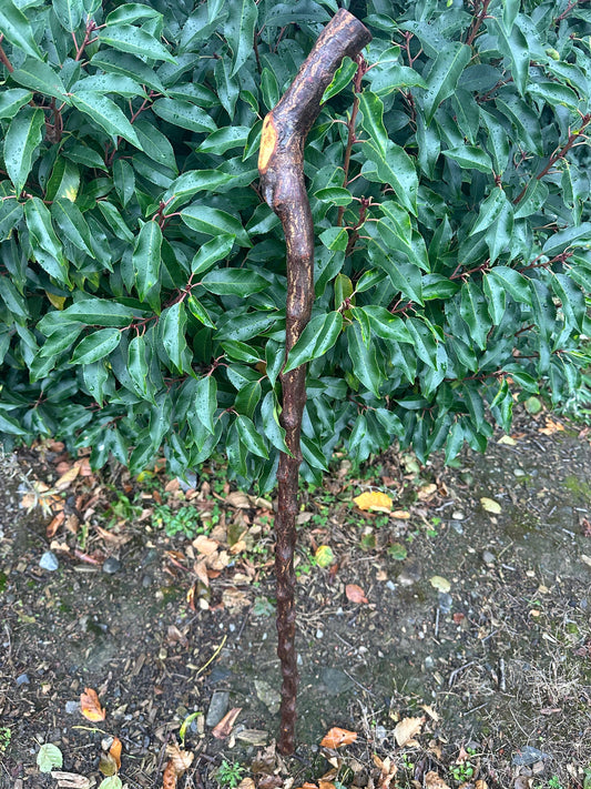 Blackthorn Walking Stick with Sloped L Handle – 106 cm / 41.7 inches
