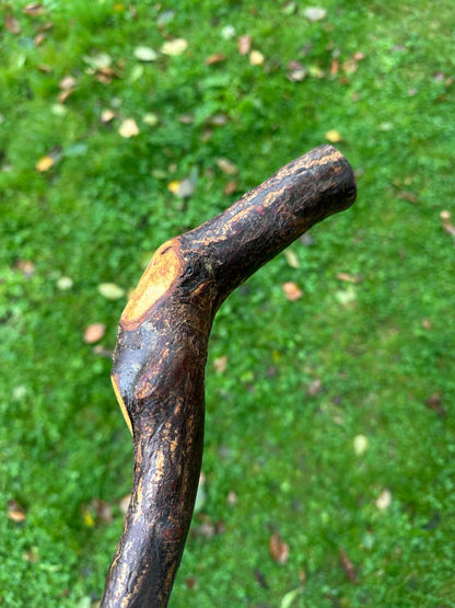 Blackthorn Walking Stick with Sloped L Handle – 106 cm / 41.7 inches