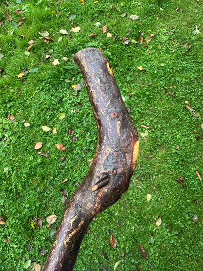 Blackthorn Walking Stick with Sloped L Handle – 106 cm / 41.7 inches