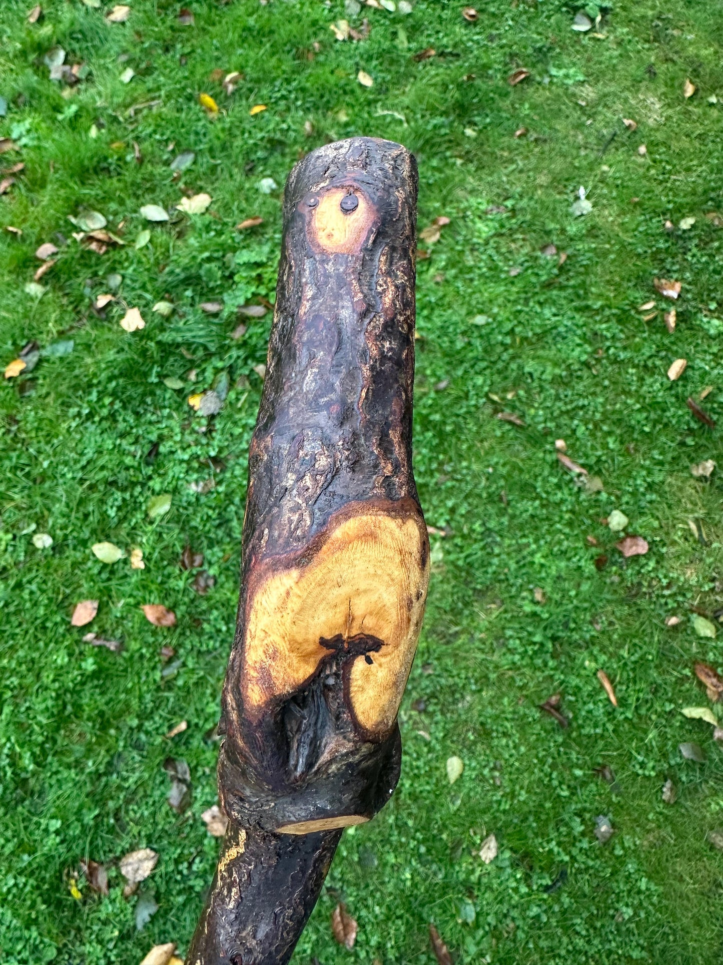 Blackthorn Walking Stick with Sloped L Handle – 106 cm / 41.7 inches