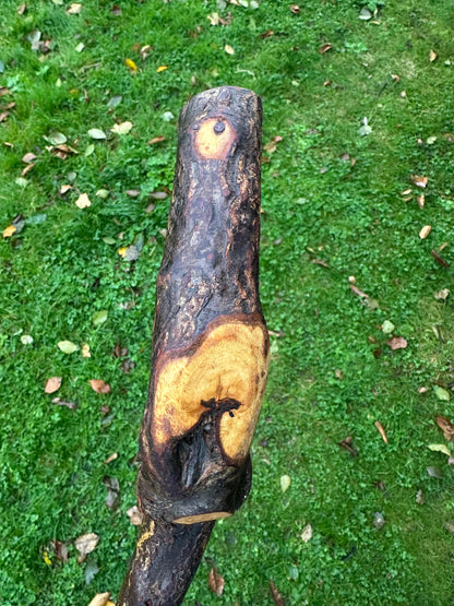 Blackthorn Walking Stick with Sloped L Handle – 106 cm / 41.7 inches