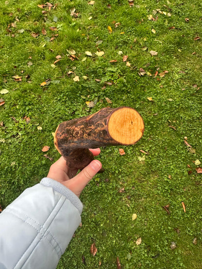 Blackthorn Walking Stick with Sloped L Handle – 106 cm / 41.7 inches