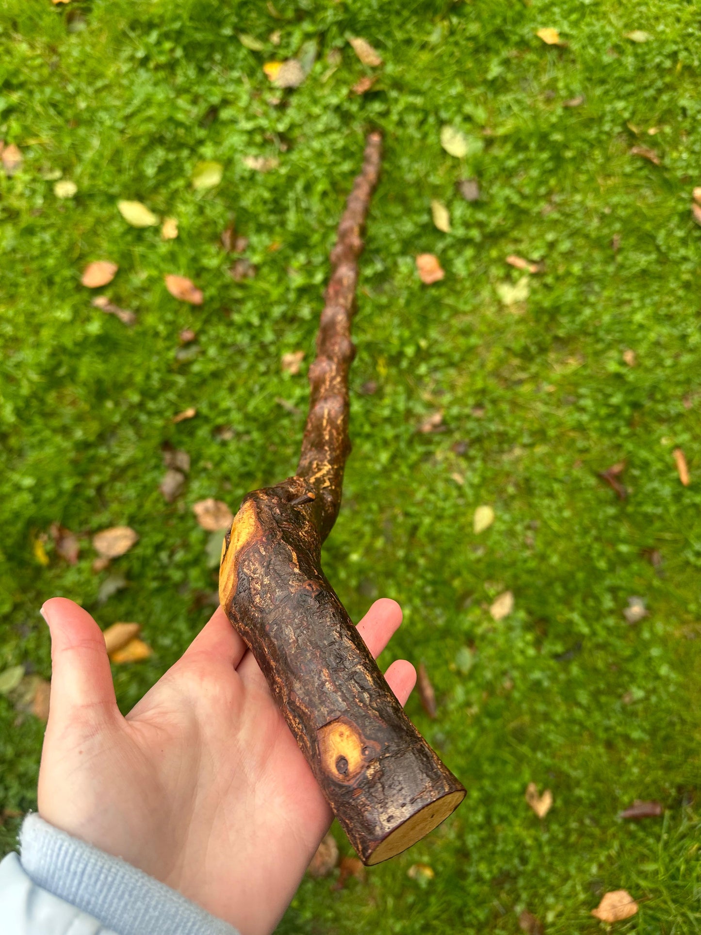 Blackthorn Walking Stick with Sloped L Handle – 106 cm / 41.7 inches