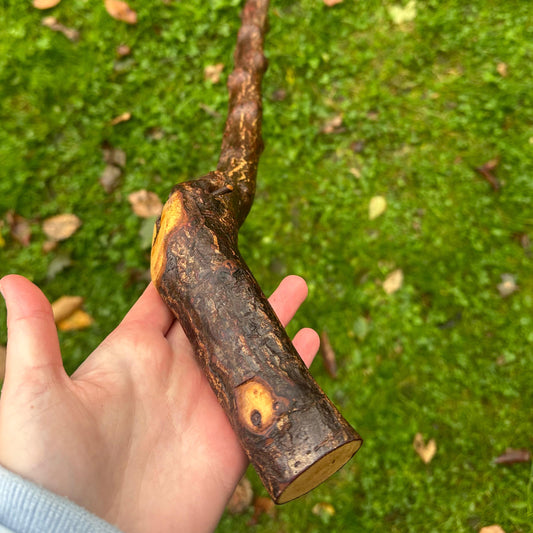 Blackthorn Walking Stick with Sloped L Handle – 106 cm / 41.7 inches