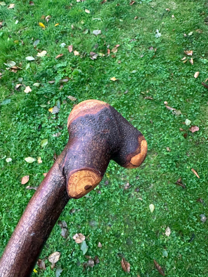 Blackthorn Walking Stick with Knob Handle – 103 cm / 40.6 inches