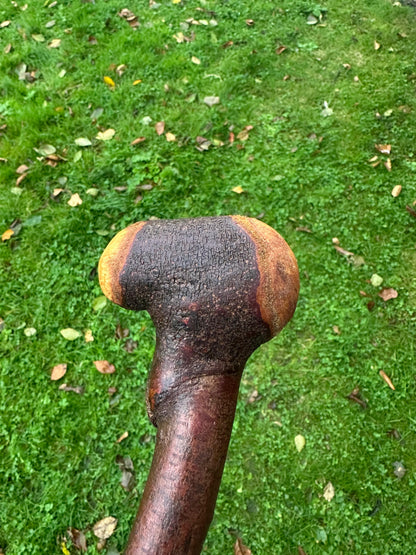 Blackthorn Walking Stick with Knob Handle – 103 cm / 40.6 inches