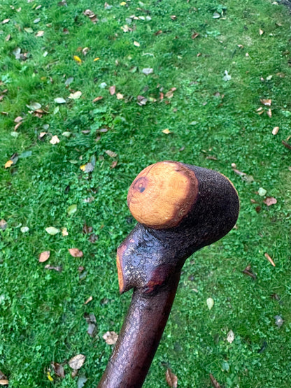 Blackthorn Walking Stick with Knob Handle – 103 cm / 40.6 inches