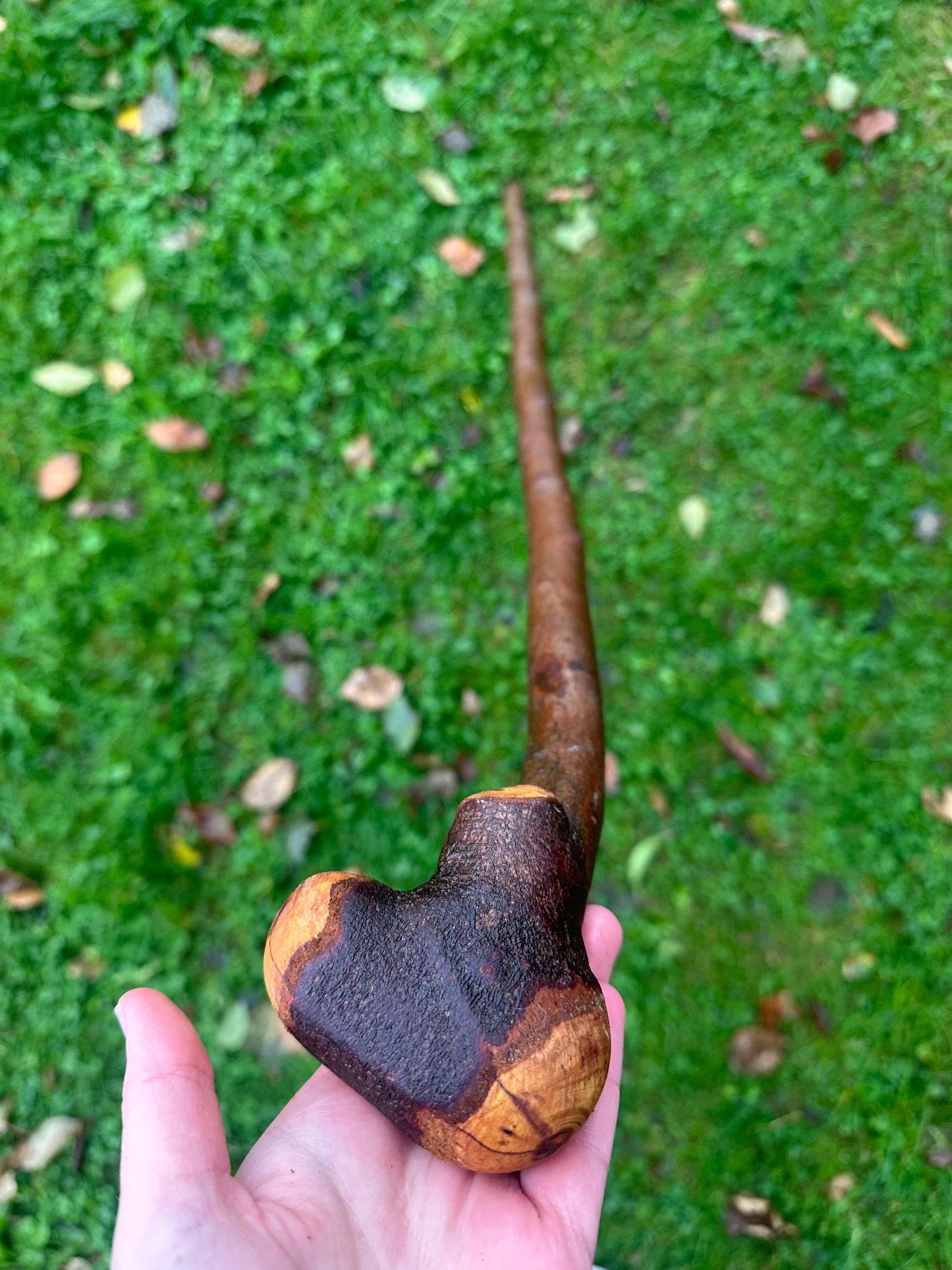 Blackthorn Walking Stick with Knob Handle – 103 cm / 40.6 inches