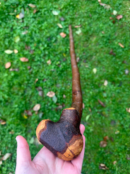 Blackthorn Walking Stick with Knob Handle – 103 cm / 40.6 inches