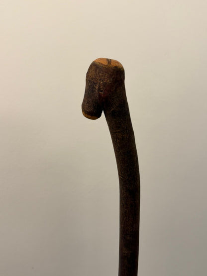 D2 Walking stick