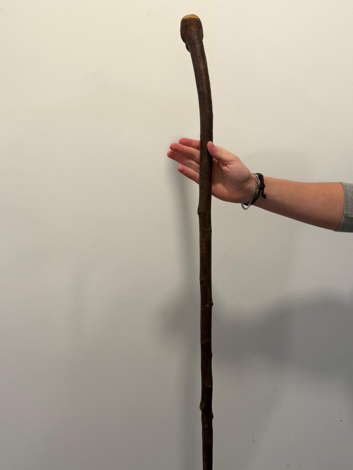 D2 Walking stick