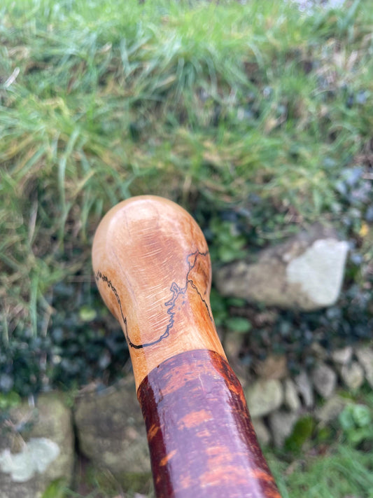 Luxury Blackthorn walking stick with Bulb head