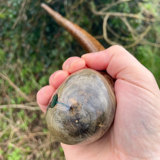 Hazel Irish walking stick with a large knobhead