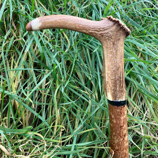 Blackthorn Tall staff Hiking stick with Antler