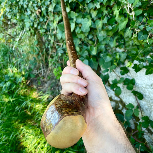 Hazel Irish walking stick with a large knobhead