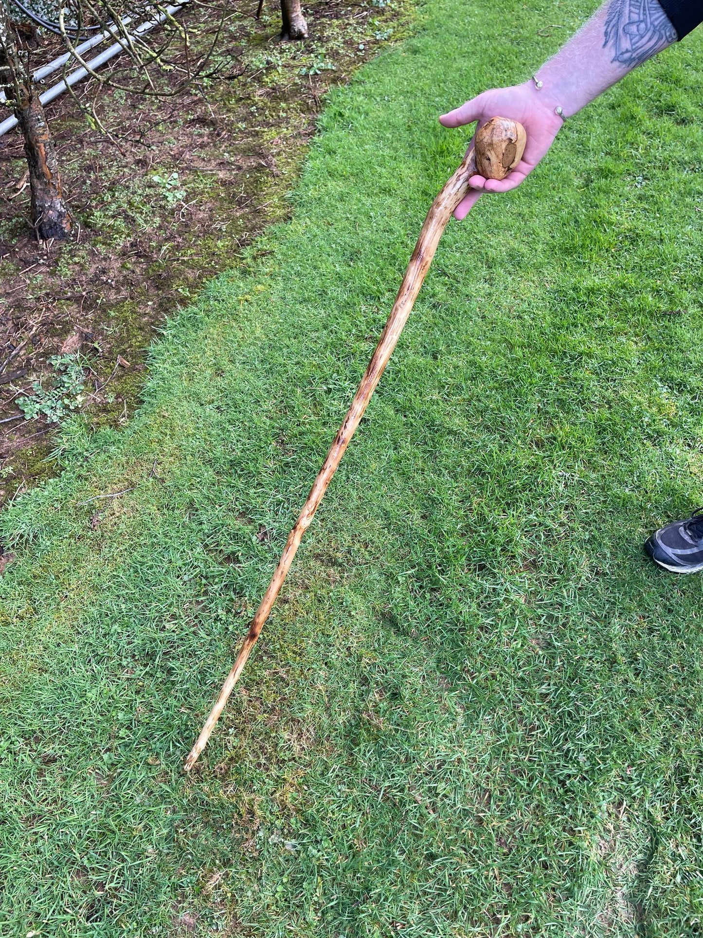 Holly Staff 49" | Irish Walking Sticks