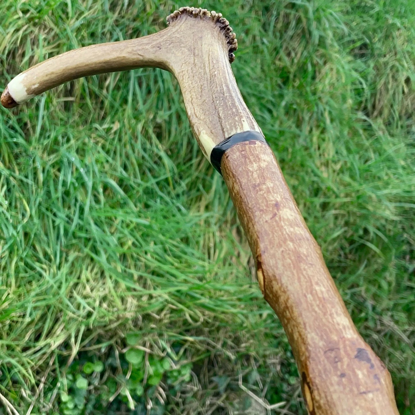 Blackthorn Tall staff Hiking stick with Antler