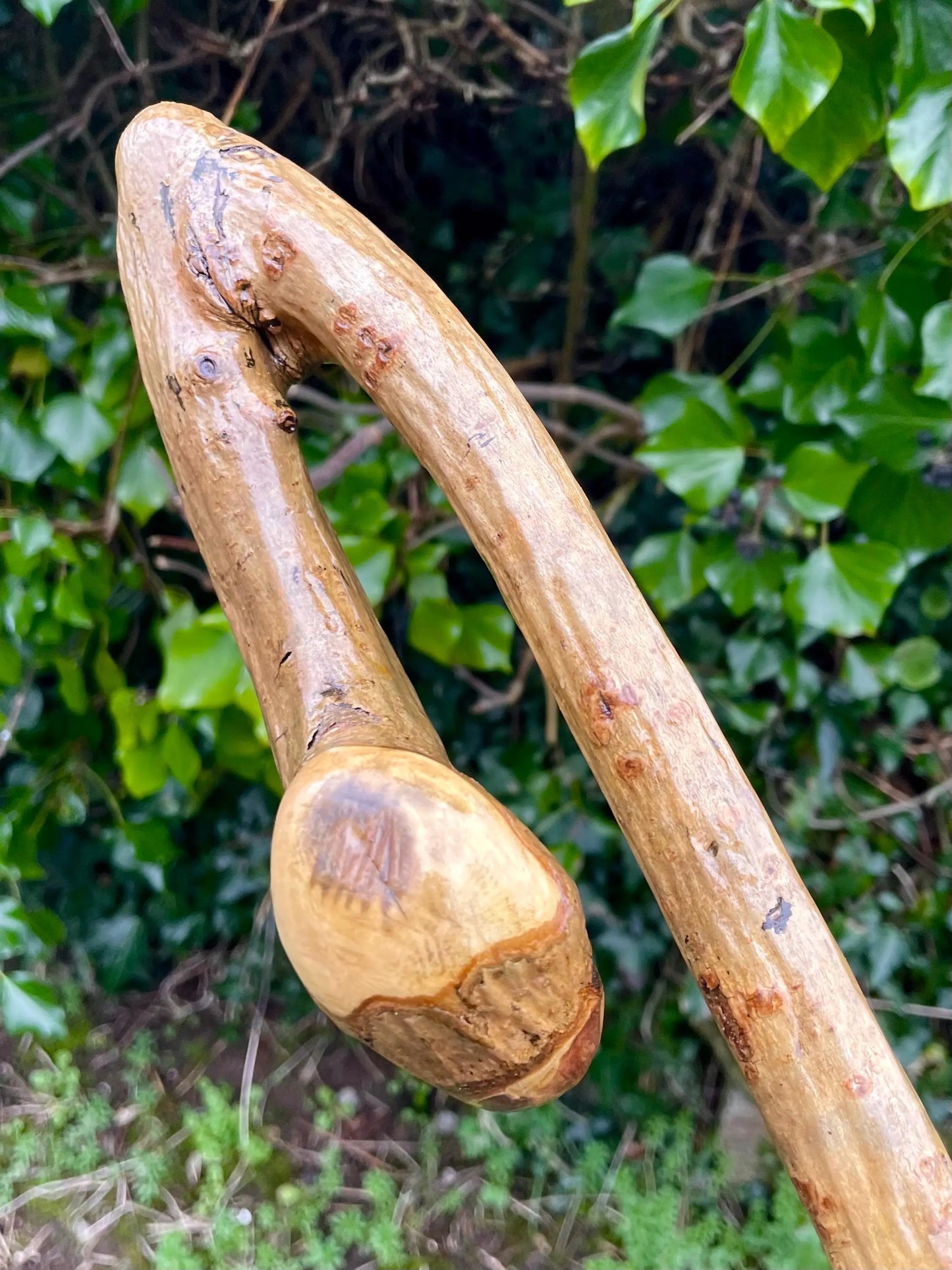 Blackthorn Tall staff Hiking stick