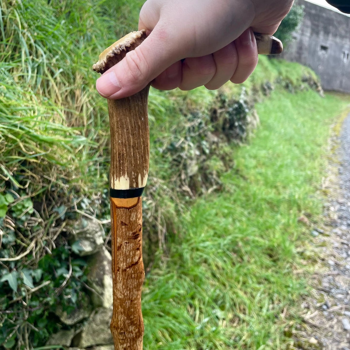 Blackthorn Tall staff Hiking stick with Antler